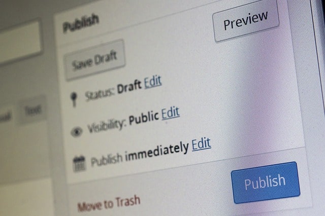 WordPress publish screenshot